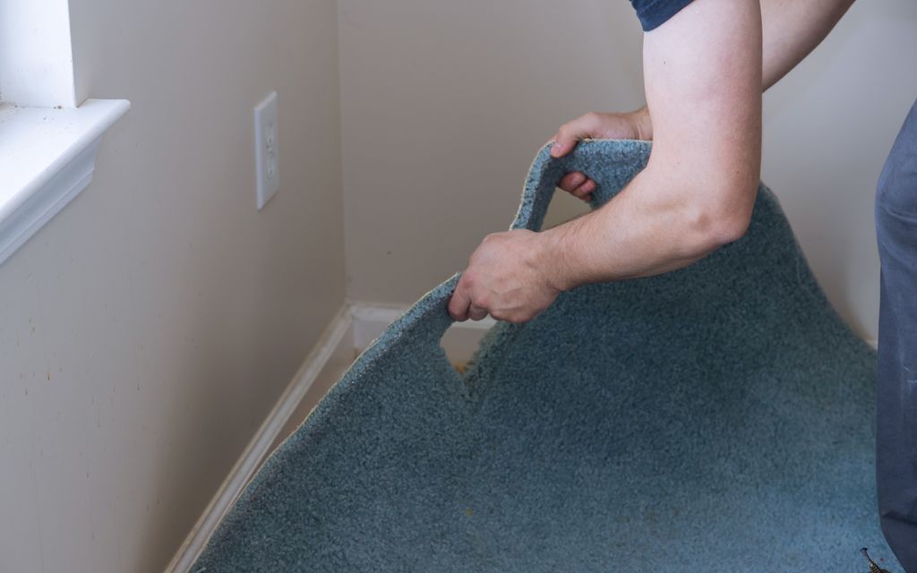 How much does it cost to remove carpets?