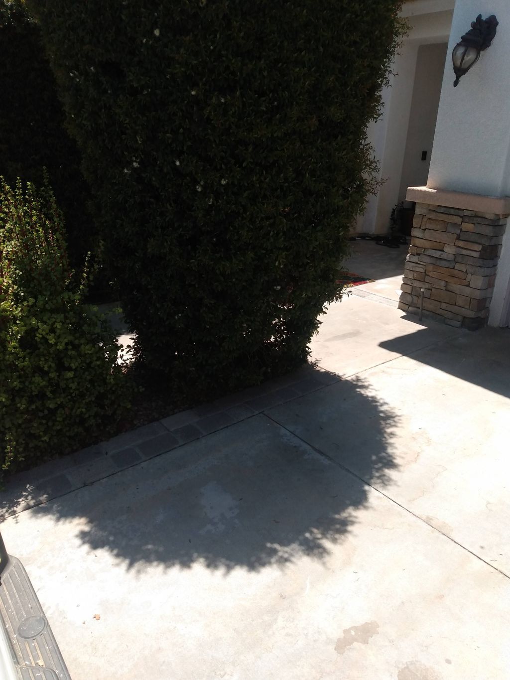 We always clean area after the removal of trash.