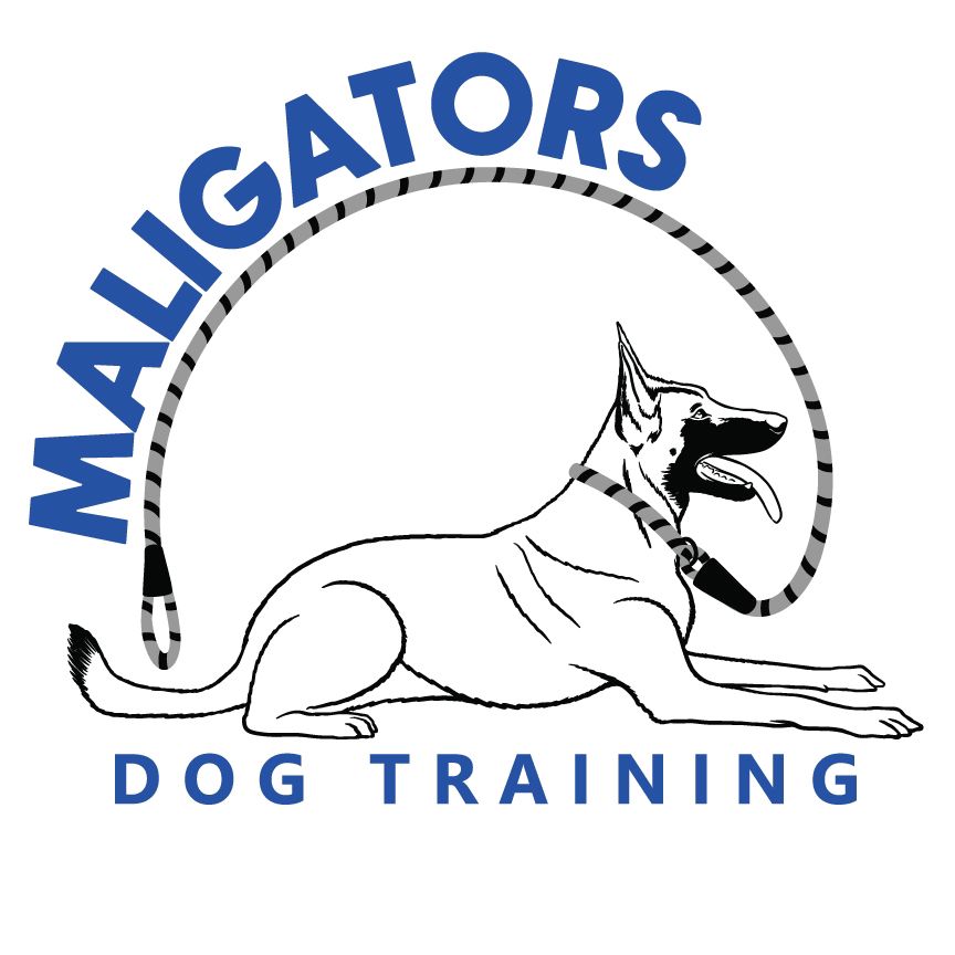 Maligators Dog Training