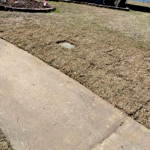 5 stars for LowCountry Landscape. Sod was put down