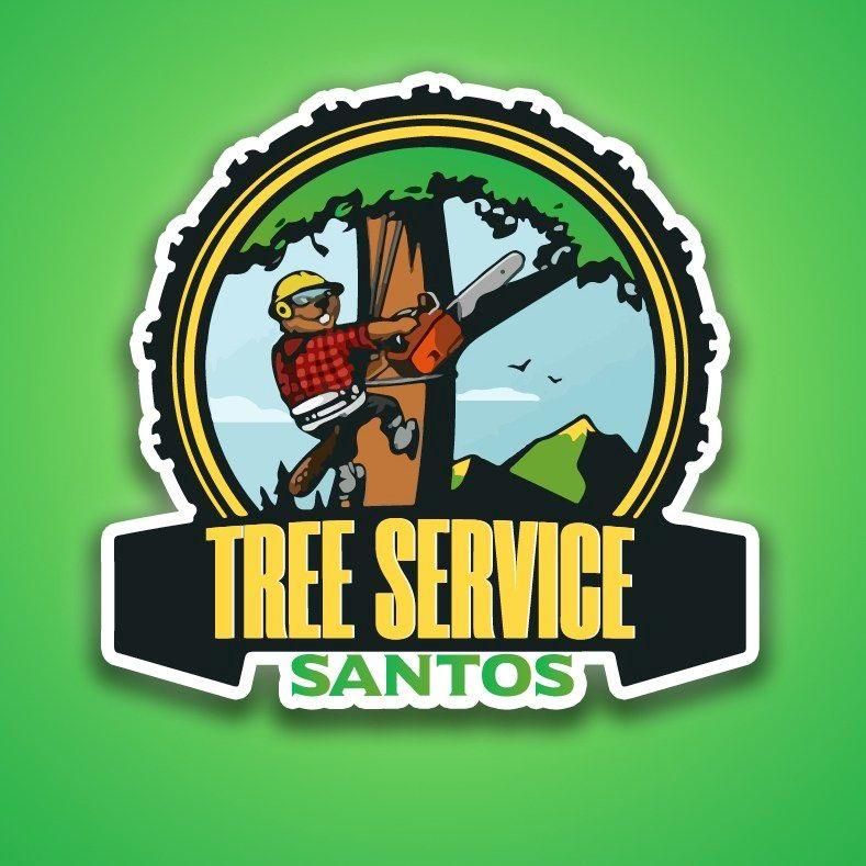 Tree Service Santos