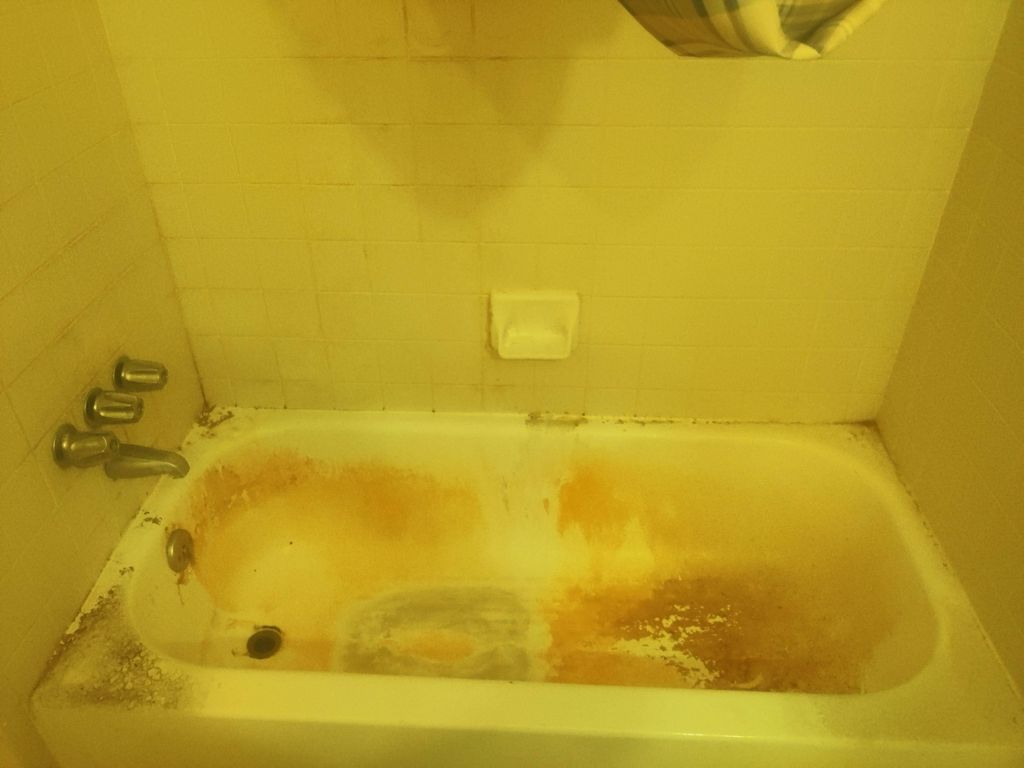Emergency Filth Removal!!