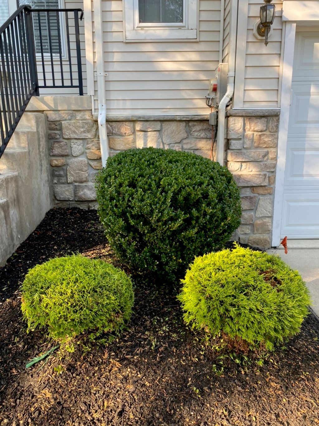 Customer photos