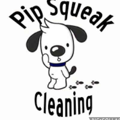 Avatar for Pip Squeak Cleaning