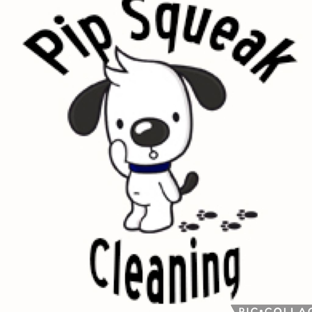 Pip Squeak Cleaning