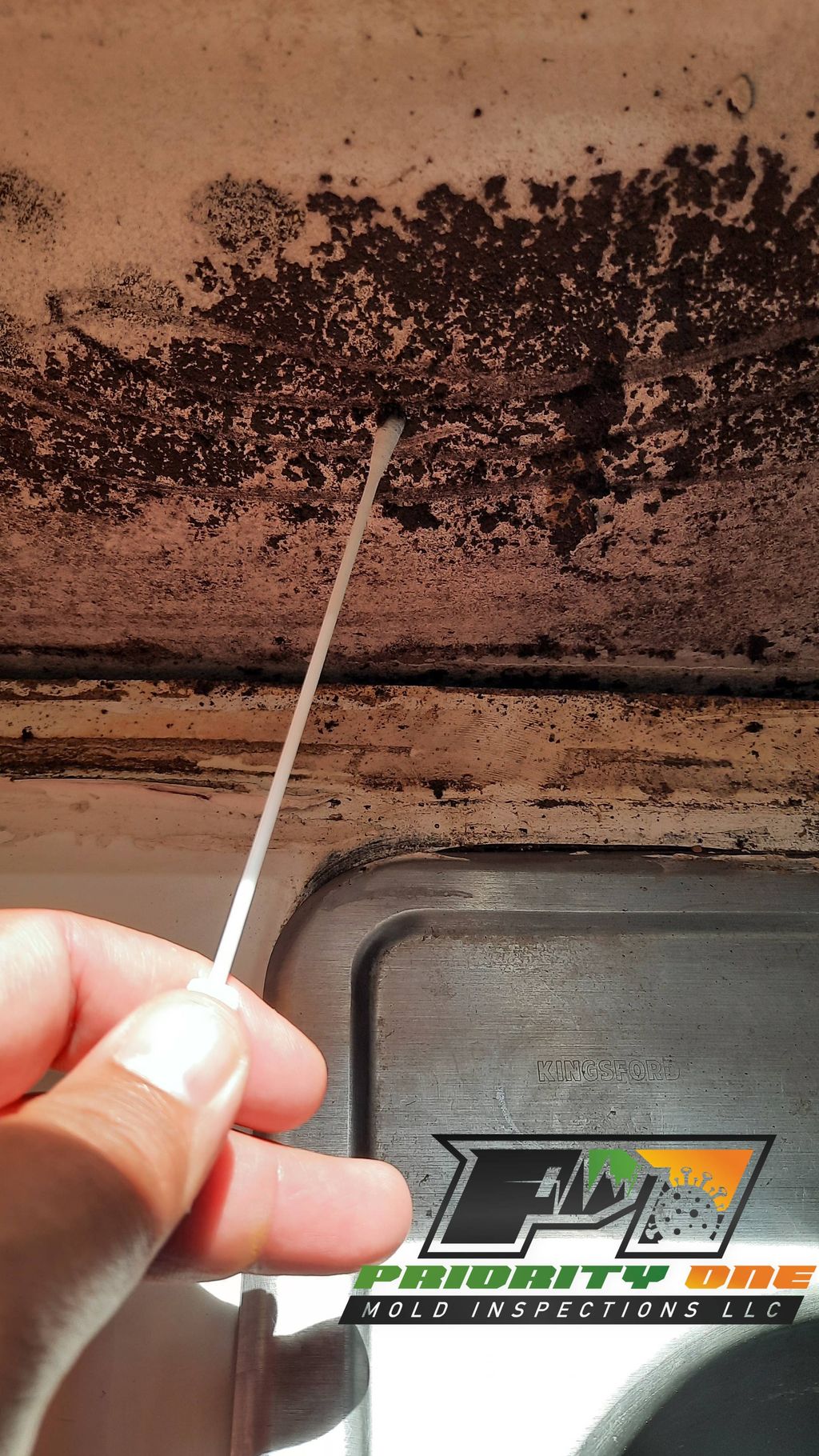 Visual Growth behind kitchen backsplash
