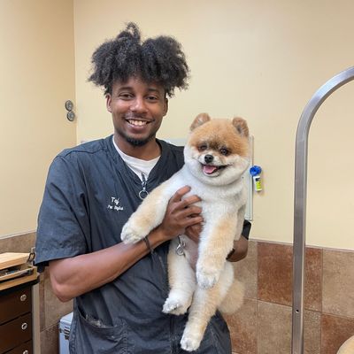 Avatar for Crowned Prince LLC Mobile grooming