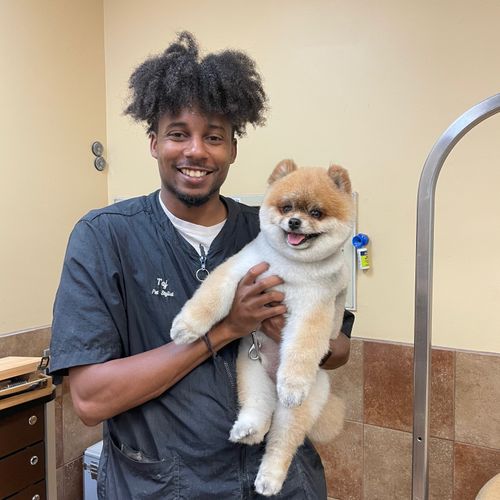 Crowned Prince LLC Mobile grooming