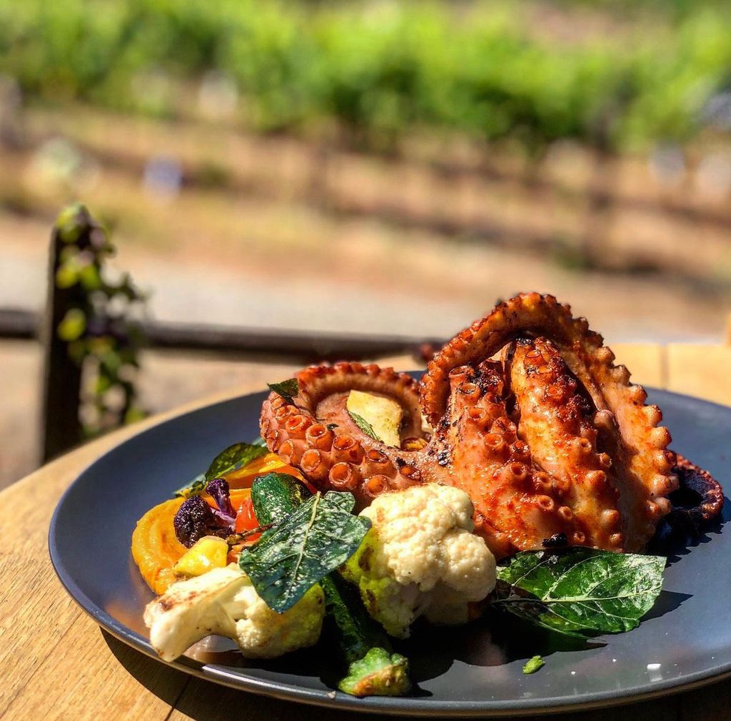 Grilled Mediterranean octopus 