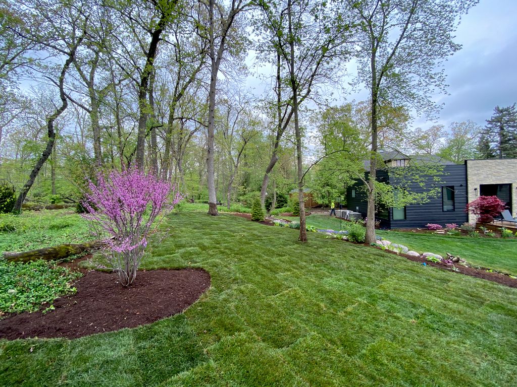 It was an uphill battle installing this sod with l