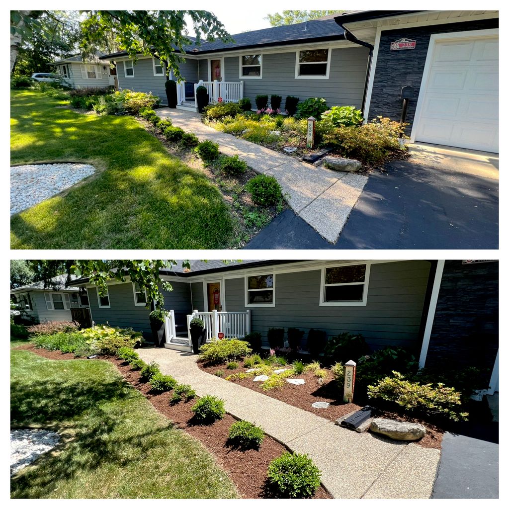 A little bit of weeding and mulch goes a long way