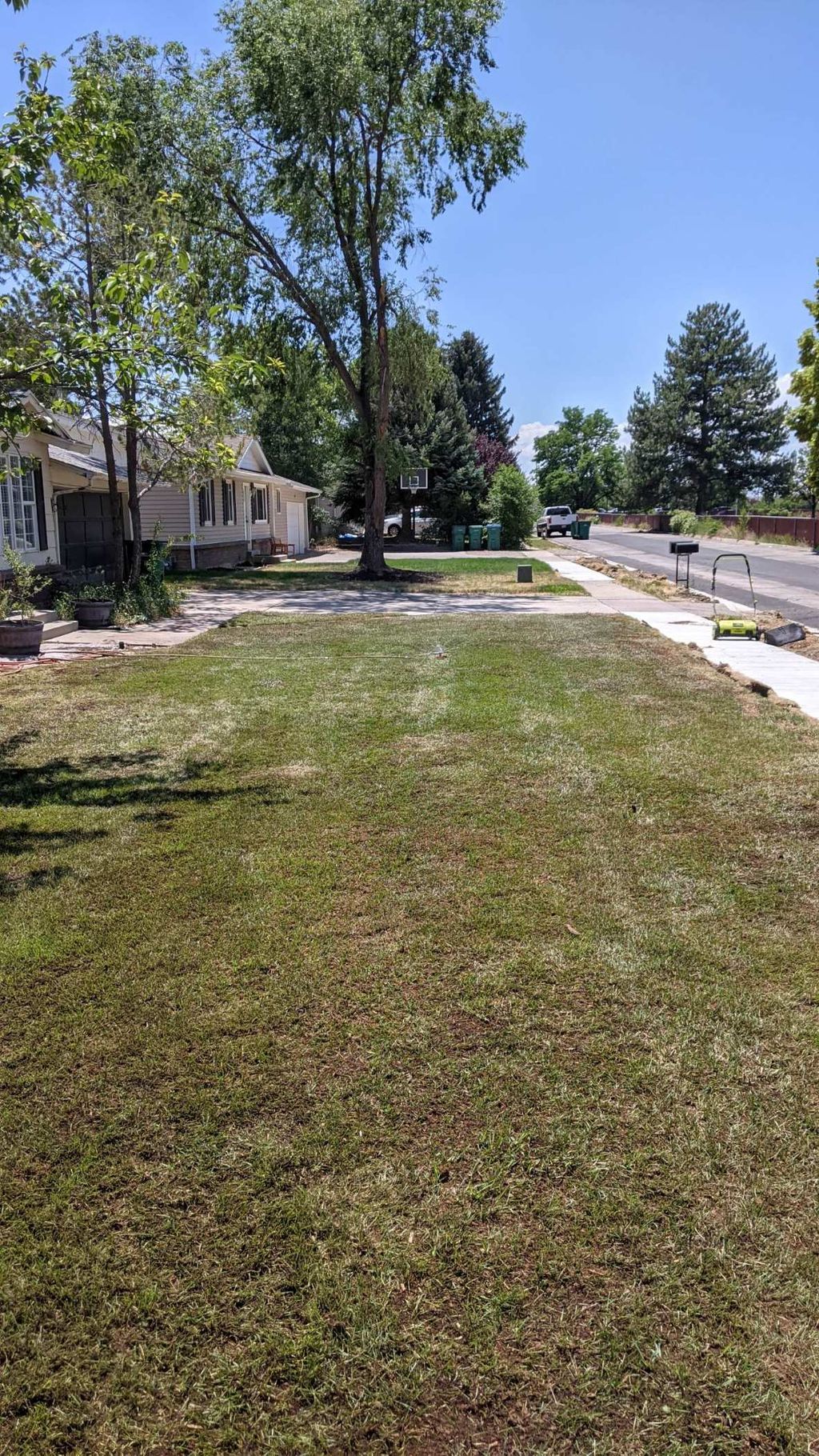 Before overseeding 