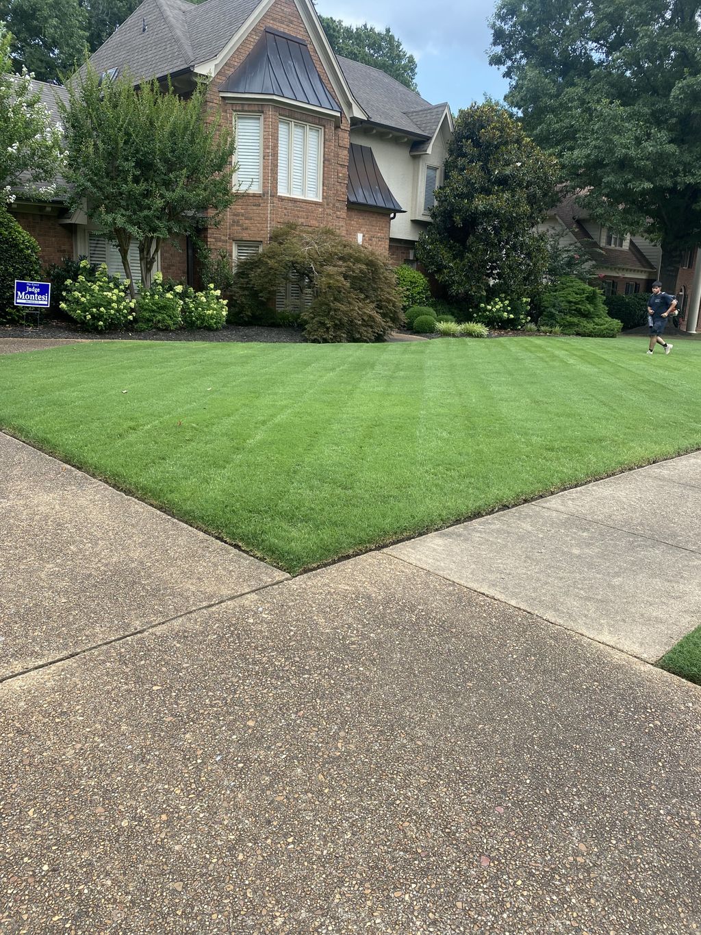 Hernandez lawn care