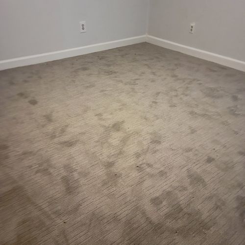 WalltoWall, did amazing job install my carpet. The