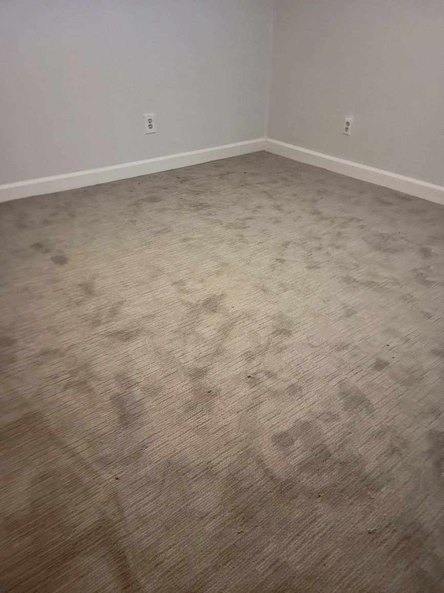 WalltoWall, did amazing job install my carpet. The