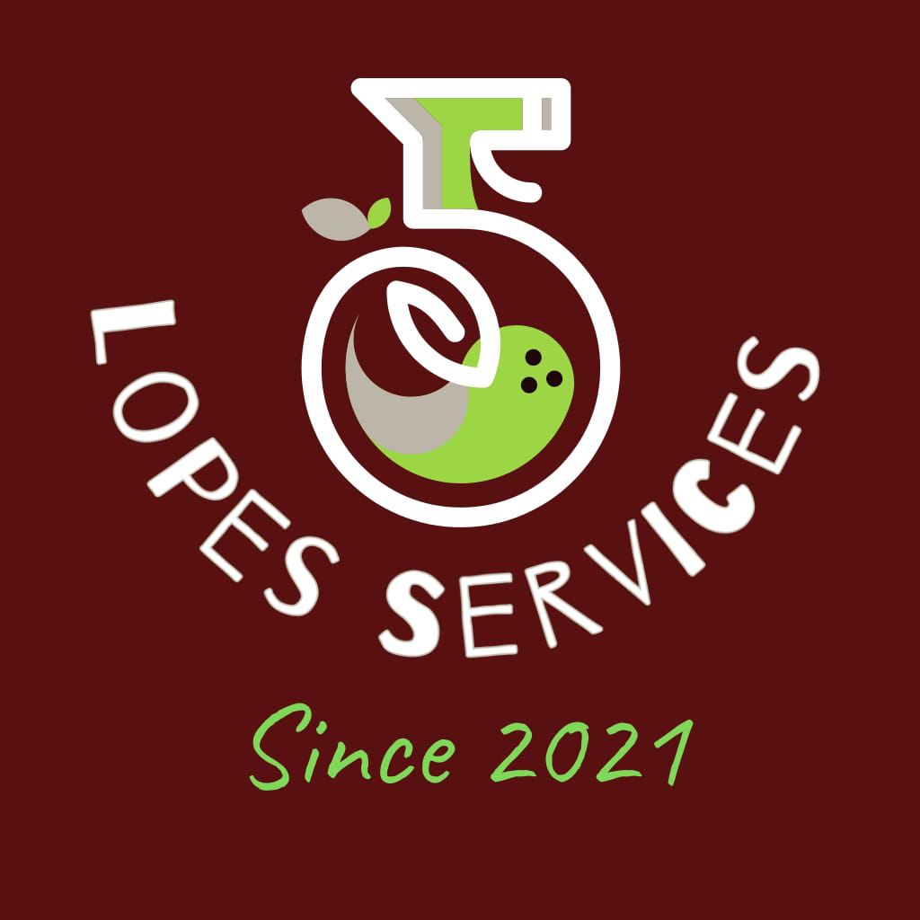 Carol Lopes Services Cleaning