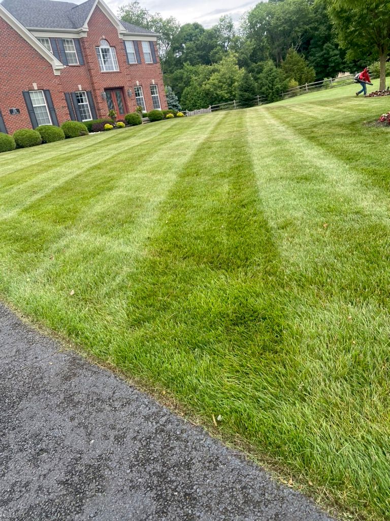 Lawn care 