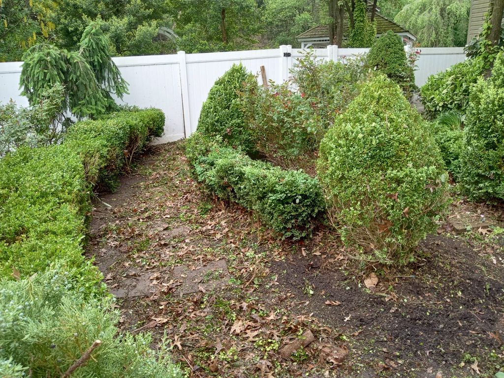 Full property cleanup 