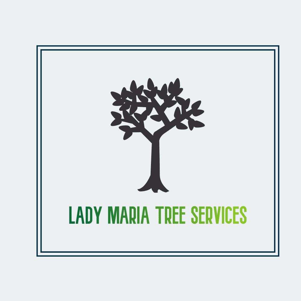 lady maria  tree services llc