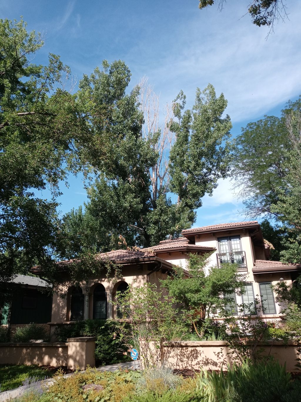 Tree Trimming and Removal