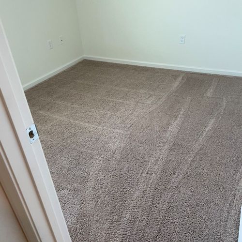 Carpet looks brand new! Very good deal. Very nice 