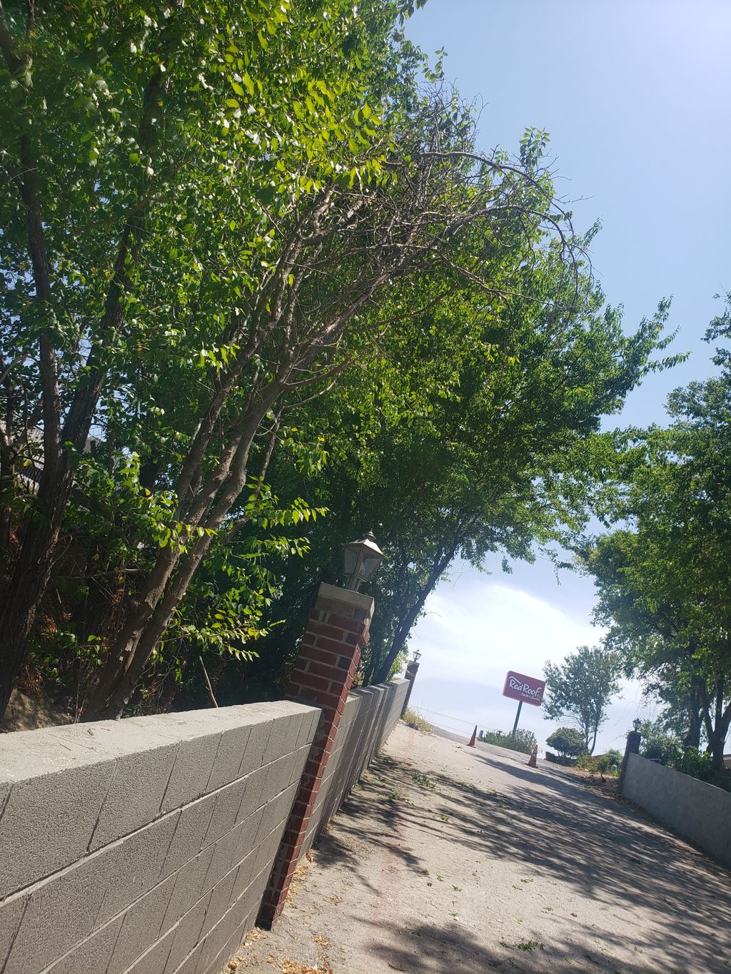 Driving Canopy Maintenance