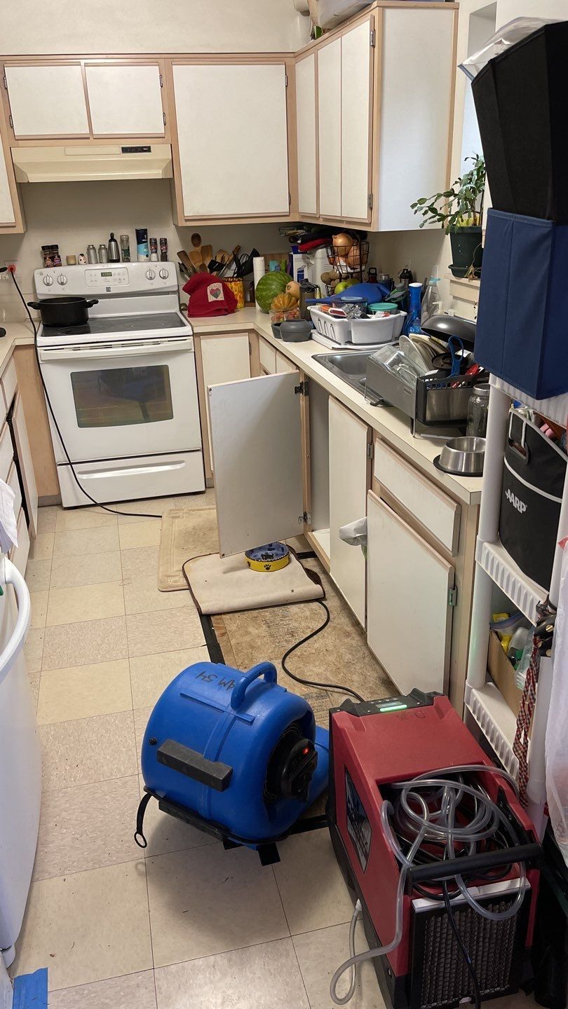 Water Damage Cleanup and Restoration