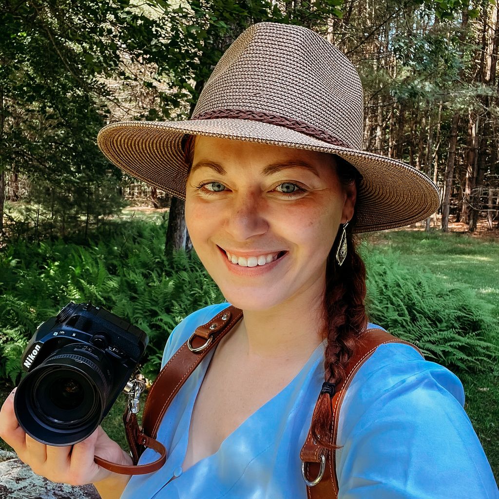 Busy Bee Photography