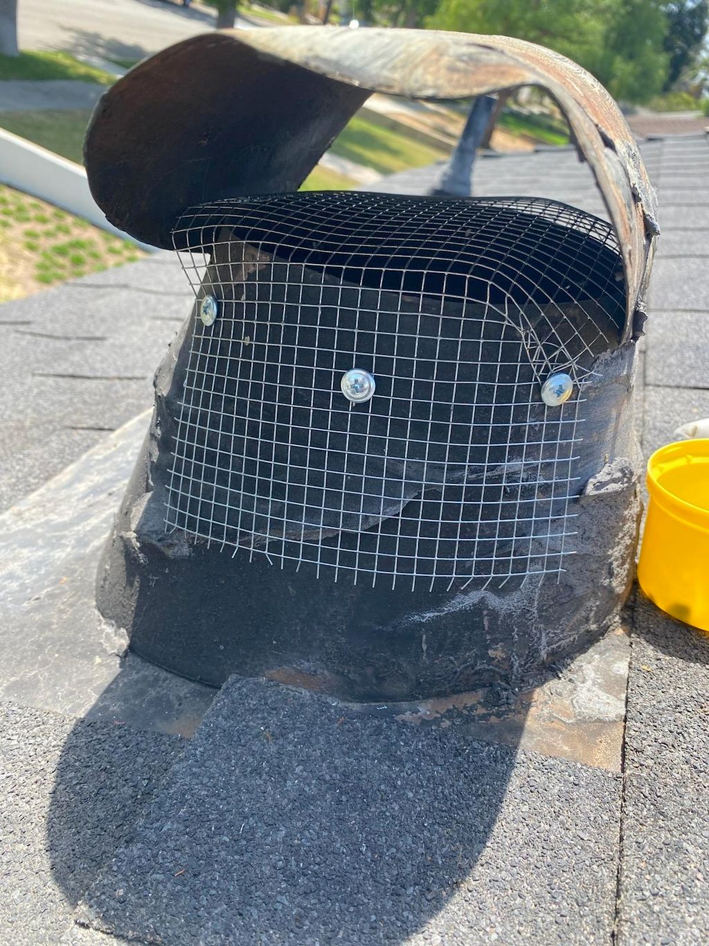 Customer photos