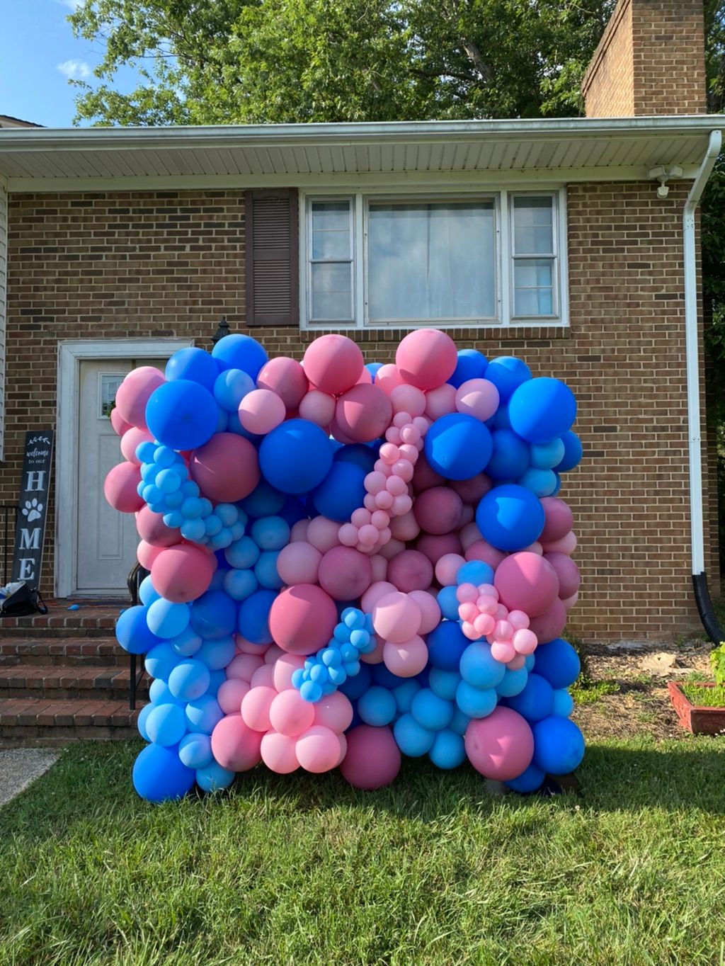 Boy or Girl? Gender Reveal Balloon Wall 