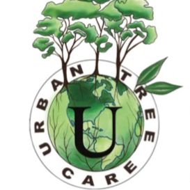 Avatar for Urban Tree Care