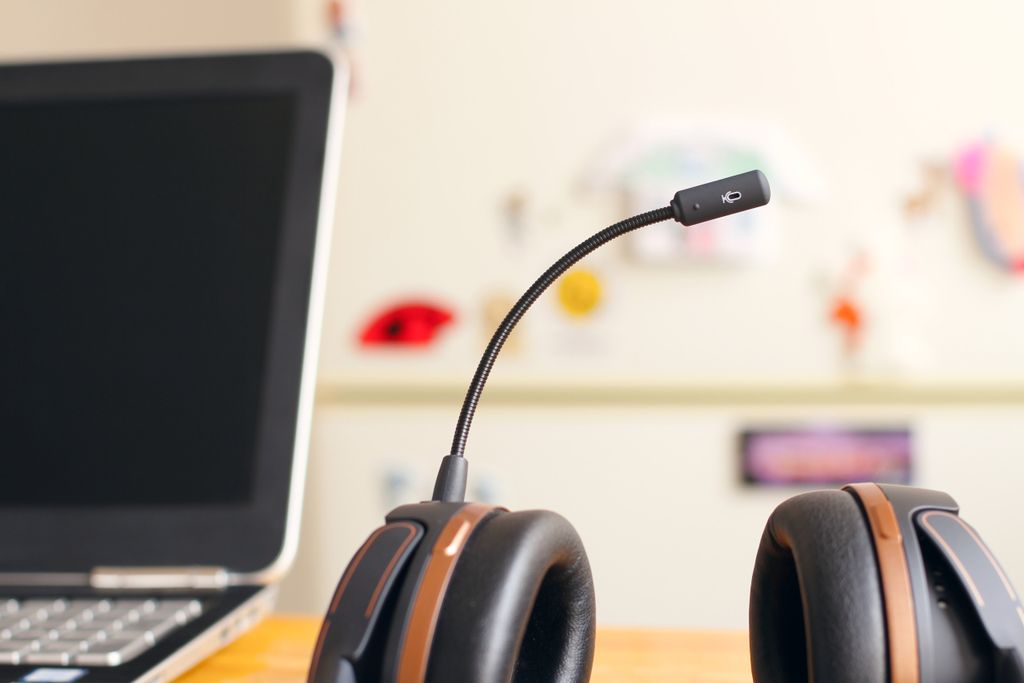 Virtual Assistance 
