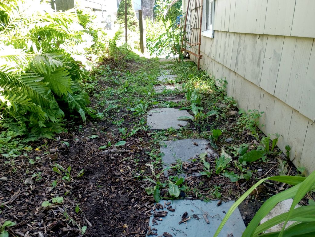 before 