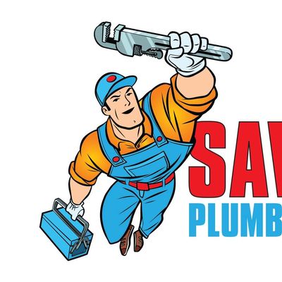 Avatar for Save The Day Plumbing & Drain Cleaning, LLC