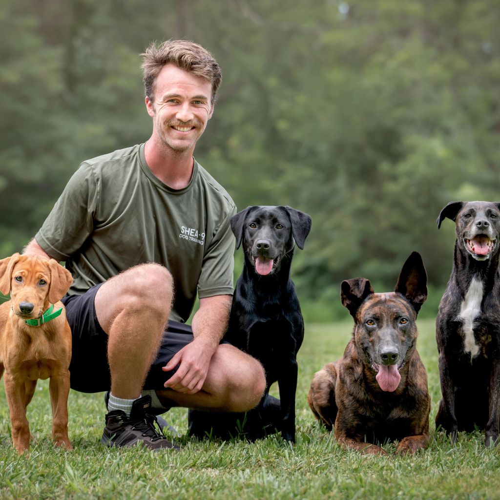 Shea-9 Dog Training, LLC