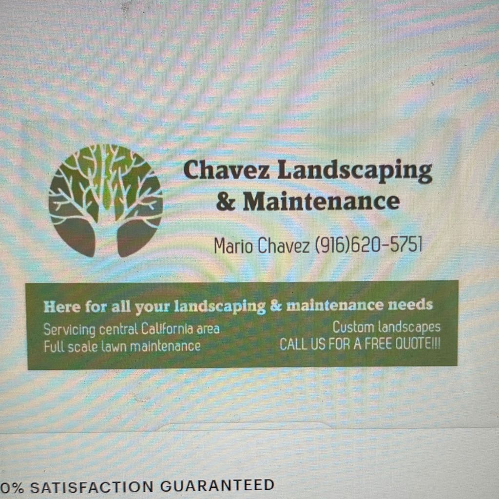 Chavez Landscaping & Maintenance