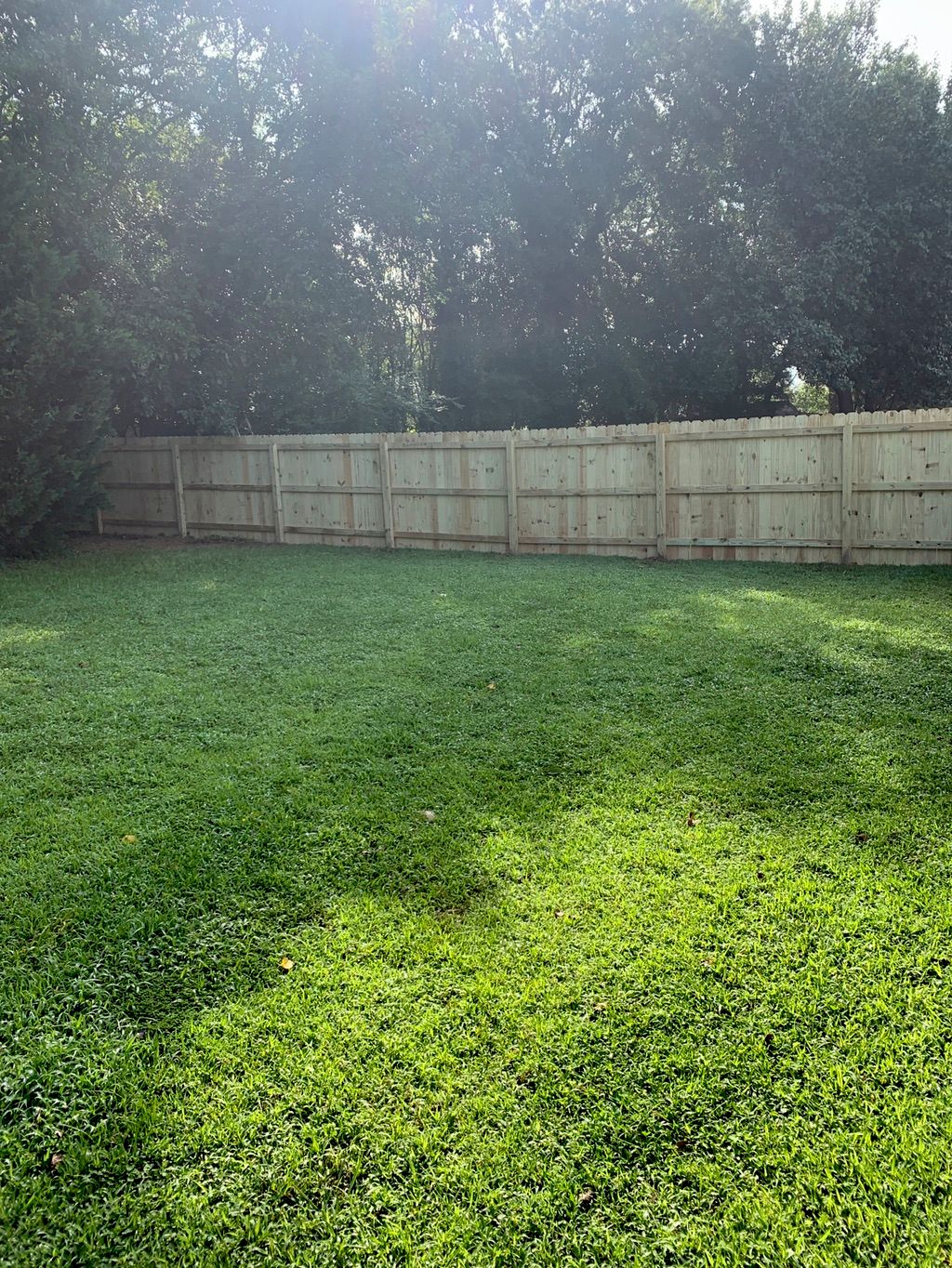 Customer photos