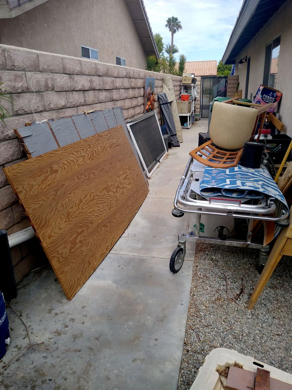 Projects and media