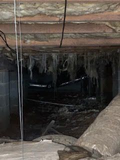 Damaged insulation due to high moisture levels in 