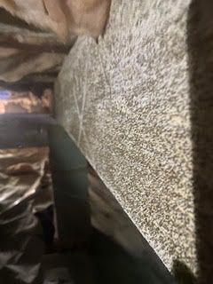 Mold growth on joist.