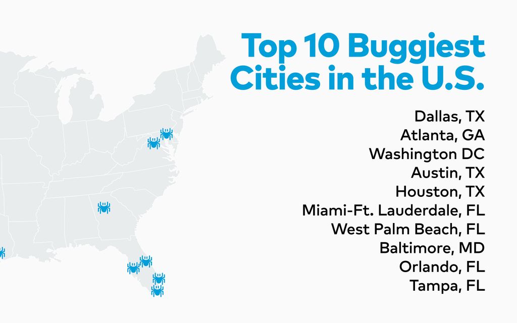 Study: The top 10 buggiest cities in the U.S.
