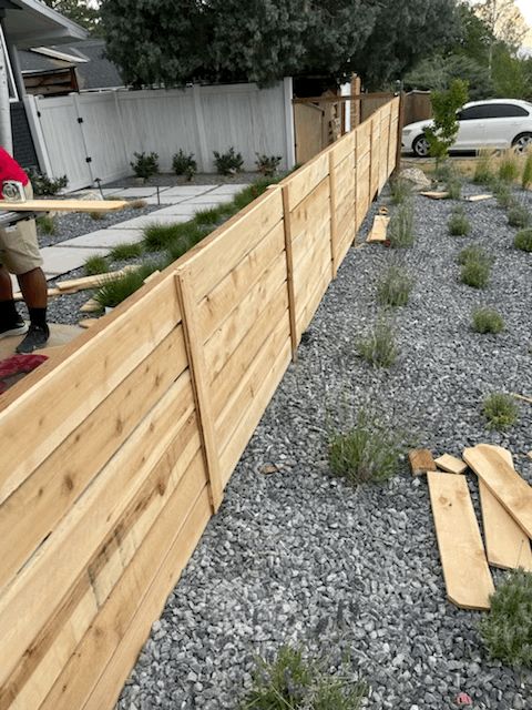 Projects and media