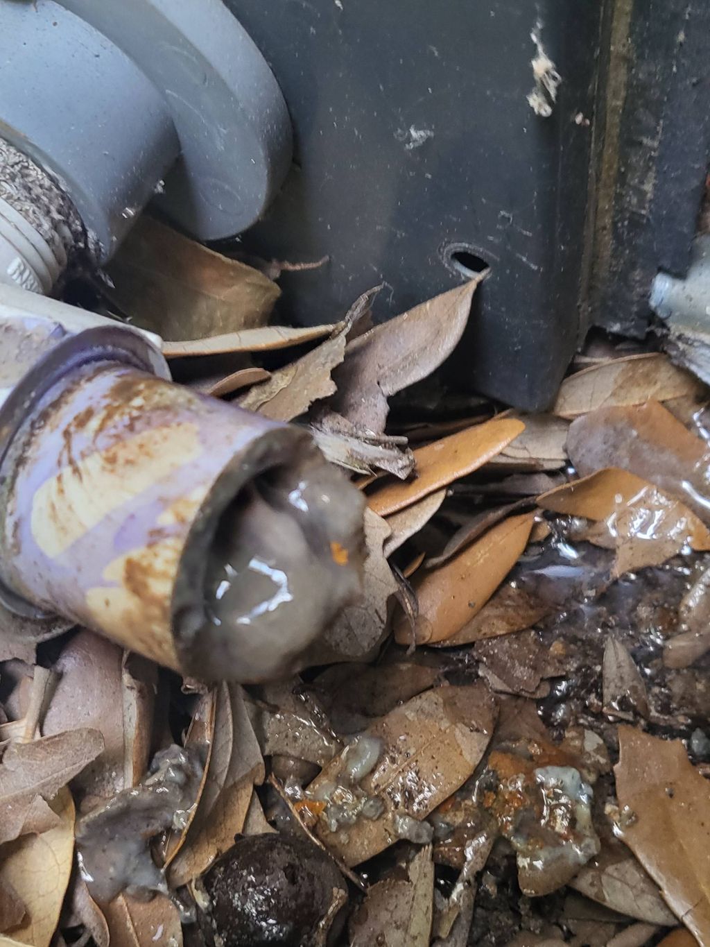 old clogged drainage system