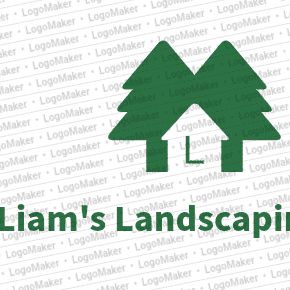 Liam's Landscaping  LLC