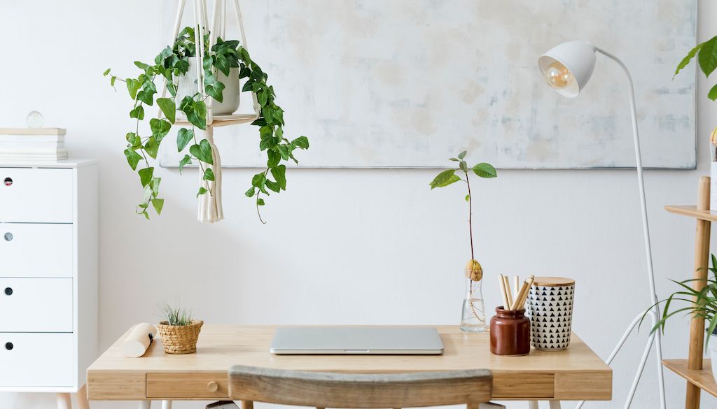 home office design ideas: greenery and houseplants