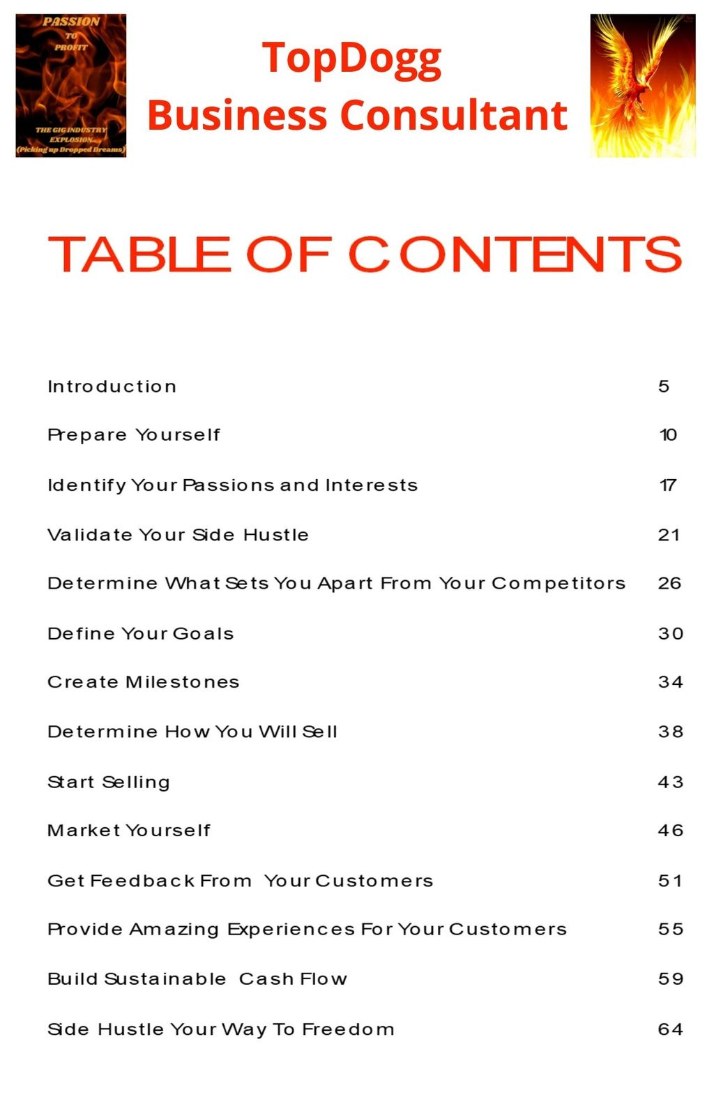 E-Book Passion to Profit (table of content)