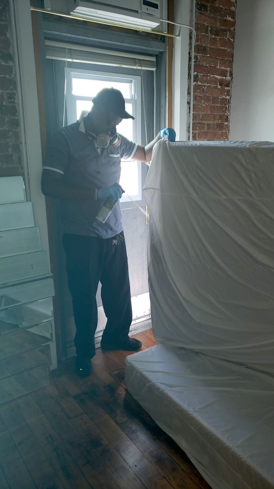 treatment for bedbugs 