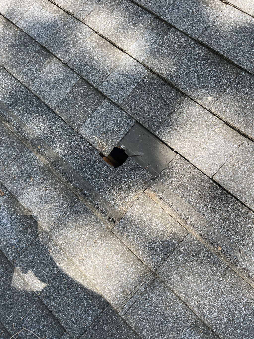 Roof Repair or Maintenance