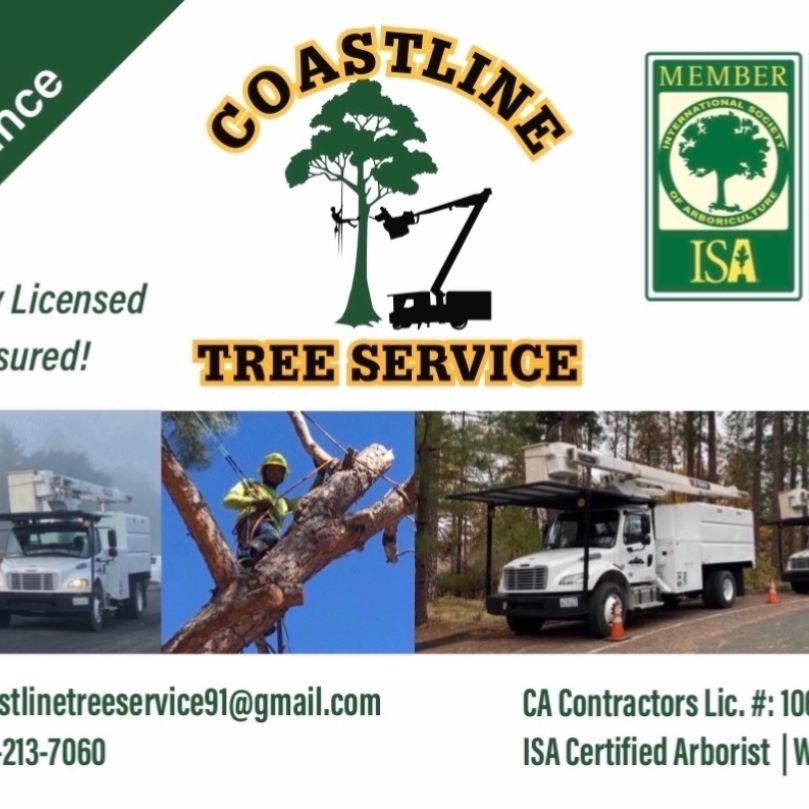 Coast line tree service