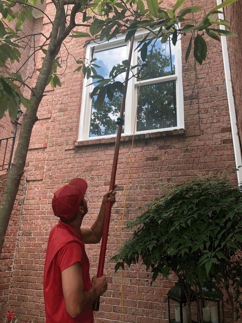 2nd Floor window cleaning